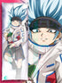 HoroHoro  / Horokeu Usui Body pillow case SHAMAN KING Mitgard-Knight